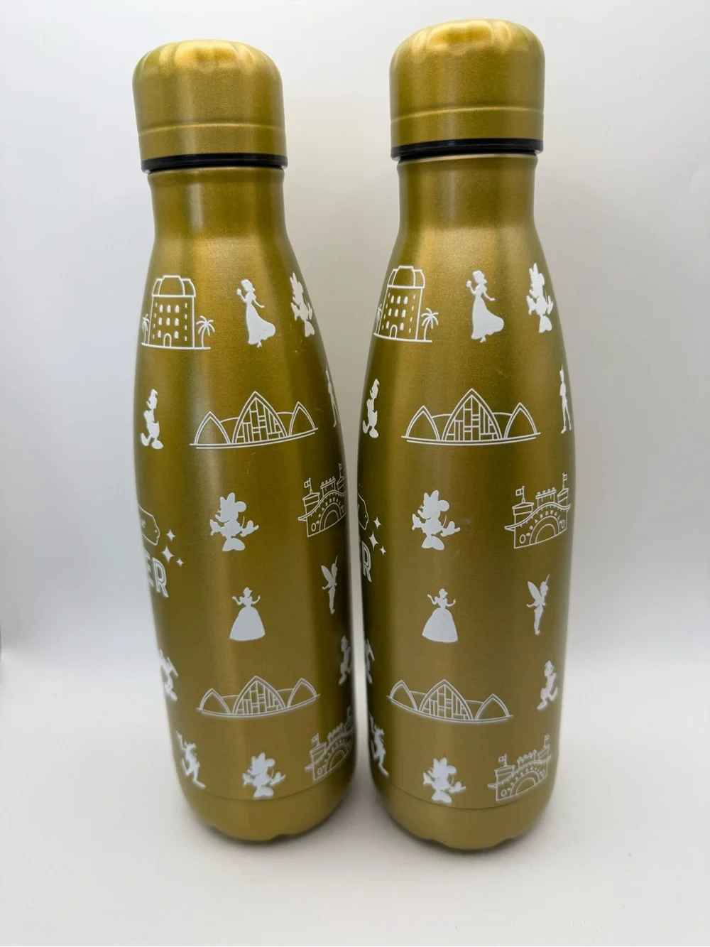2 Disney Vacation Club DVC Member 2022 Gold Stainless Steel Water Bottles